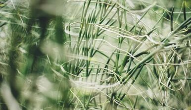 Comment fabriquer une amulette porte-bonheur de vos propres mains