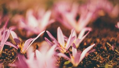 comment fabriquer une amulette porte-bonheur de vos propres mains